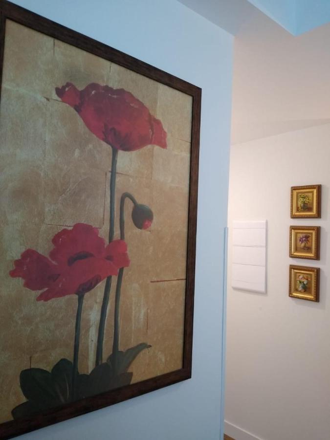 Apartamento Giardino Araucaria 301 Διαμέρισμα Canela Εξωτερικό φωτογραφία
