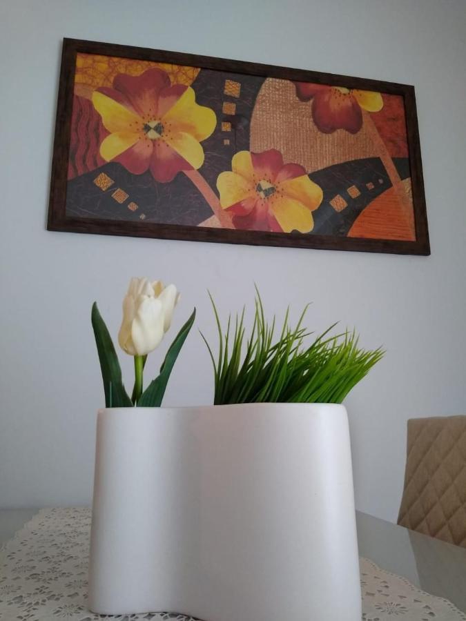 Apartamento Giardino Araucaria 301 Διαμέρισμα Canela Εξωτερικό φωτογραφία